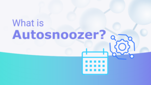 Read more about the article What is Autosnoozer?