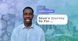 Read more about the article Seun’s Journey so far…