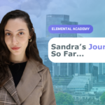 Sandra’s Journey so far…